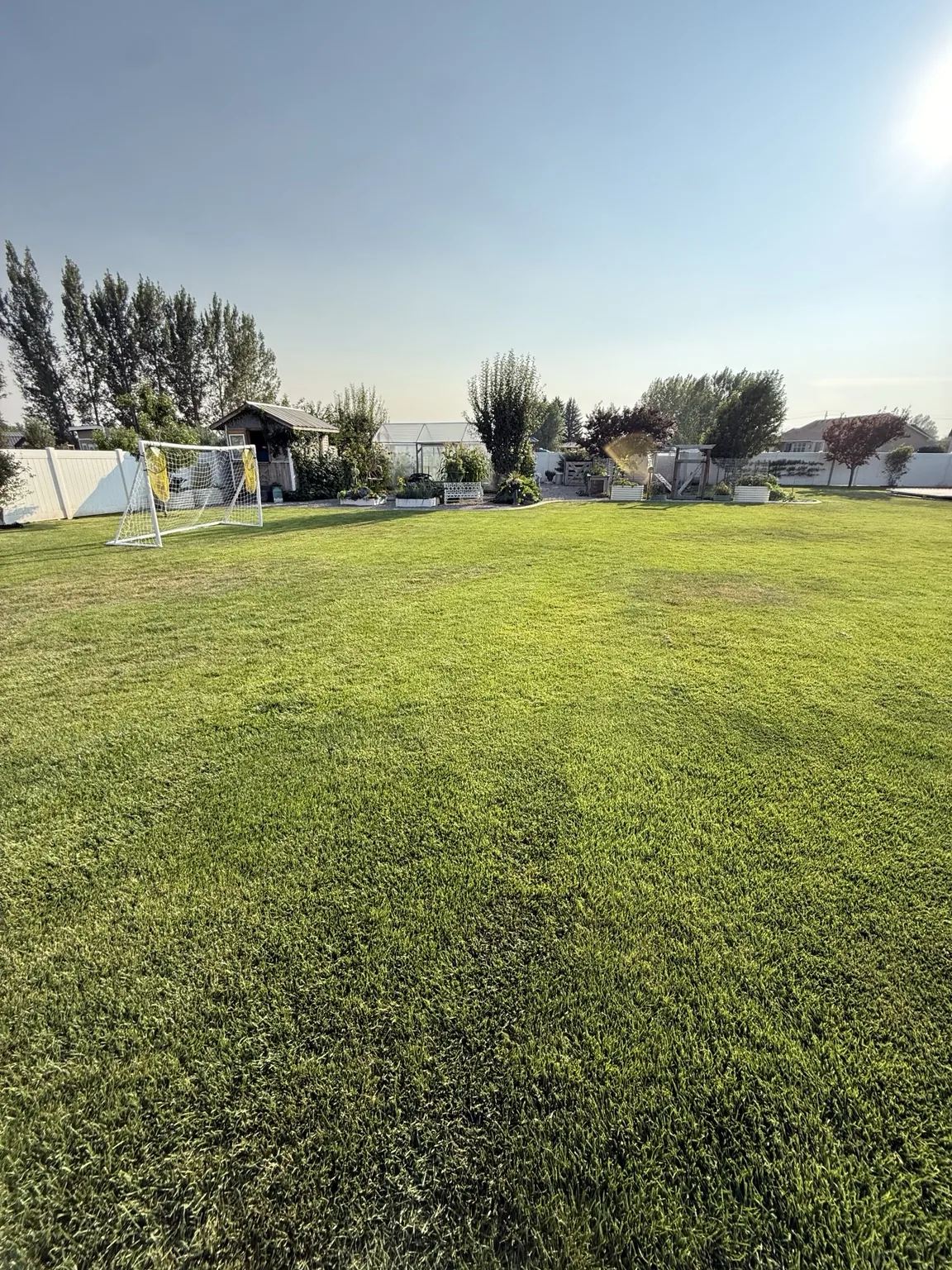 Sod & Sprinklers